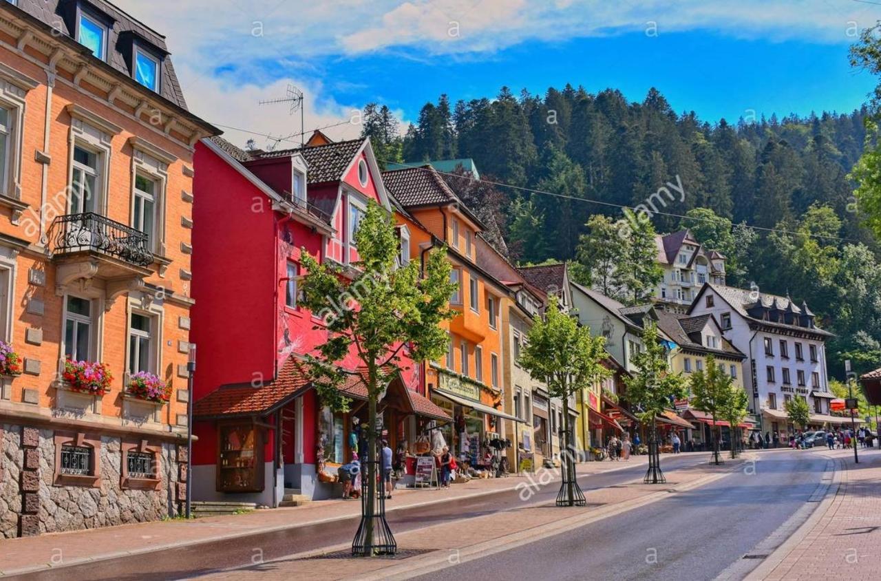 Dm Apartment Triberg im Schwarzwald Екстериор снимка